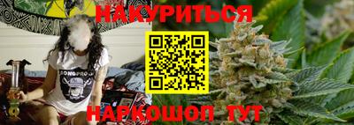 индика Новодвинск