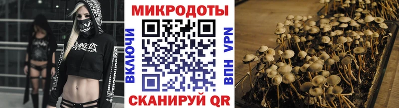 Галлюциногенные грибы мухоморы цены наркотик Одинцово