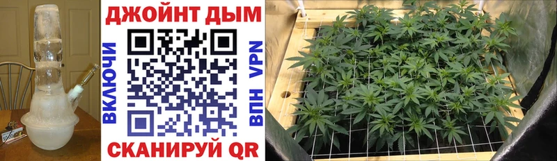 наркотики  Одинцово  Каннабис конопля 